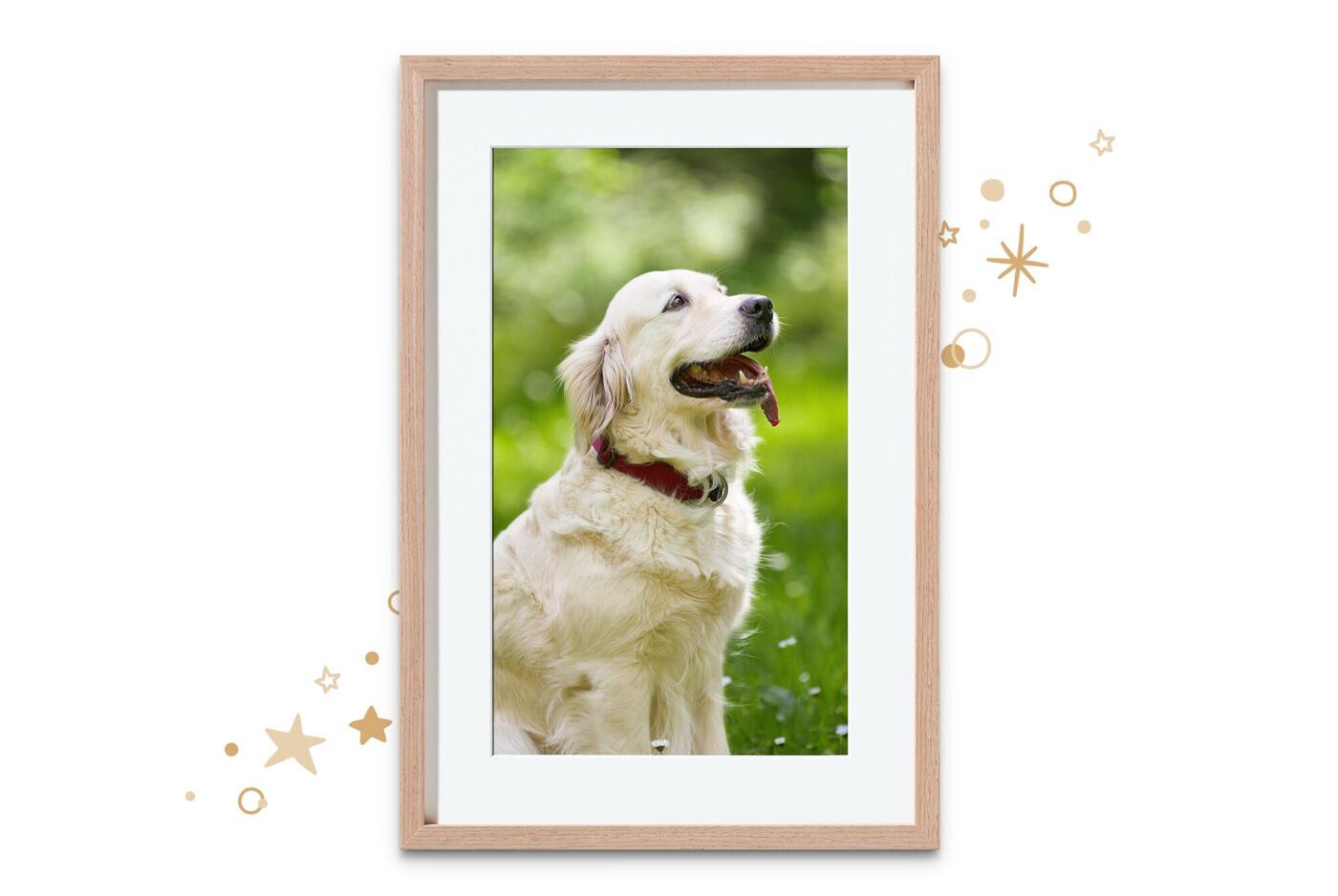 Poster photo avec un chien
